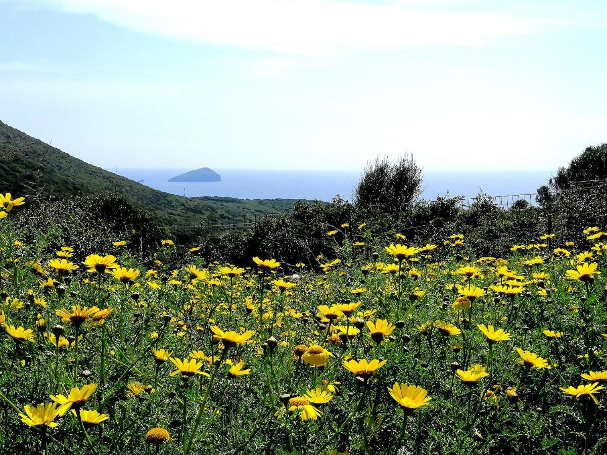 Agriturismo Glamping Erbe Matte SantʼAntìoco Exterior foto