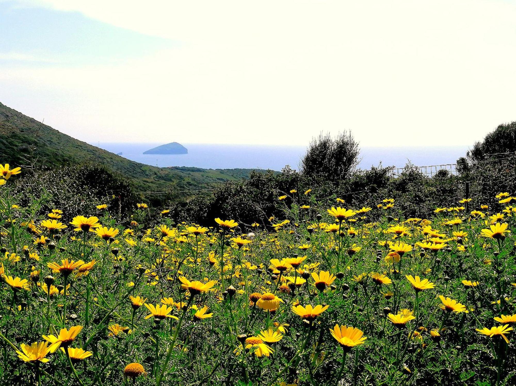 Agriturismo Glamping Erbe Matte SantʼAntìoco Exterior foto